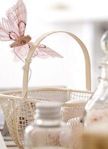 Parlour Aster