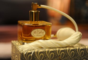 Parlour Aster